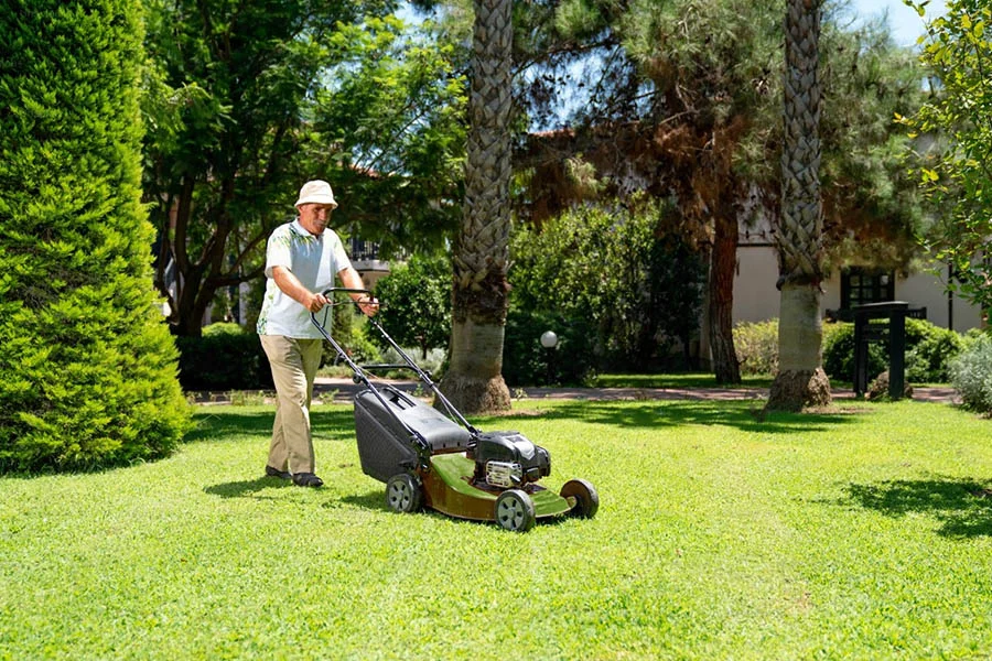best cordless mower